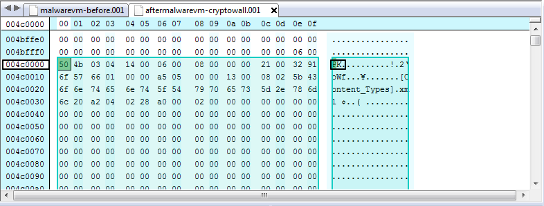 malwarevm-after