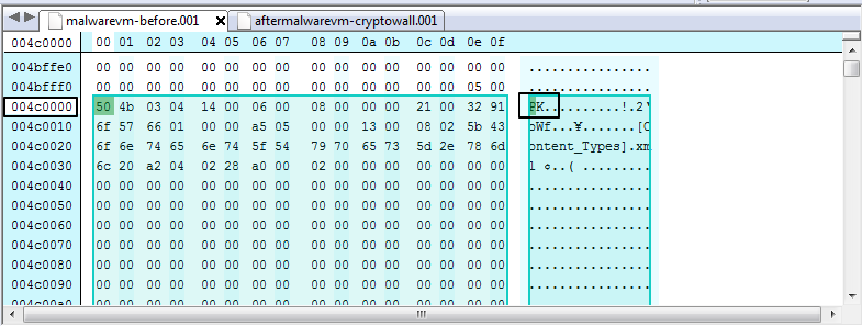 malwarevm-before